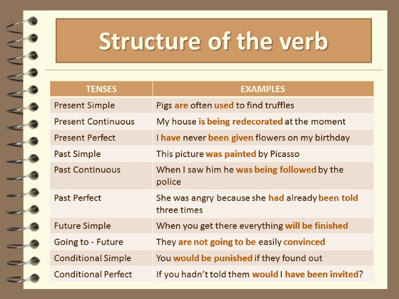 Structure of the verb